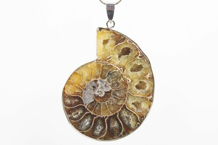 Fossil Ammonite Pendant - Million Years Old #306479